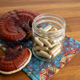 Reishi mushroom capsules with mycelium and fruiting bodies